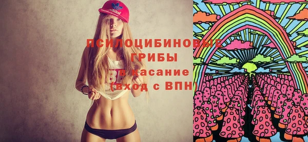 ПСИЛОЦИБИНОВЫЕ ГРИБЫ Горнозаводск