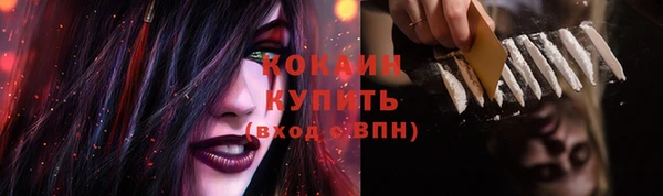 соль курить ск Горно-Алтайск