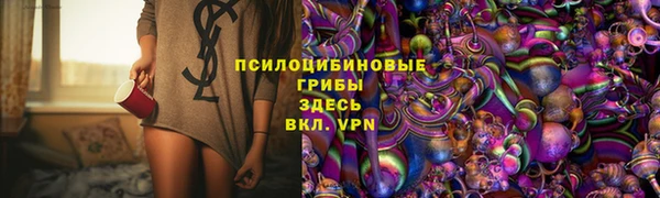 ПСИЛОЦИБИНОВЫЕ ГРИБЫ Горнозаводск