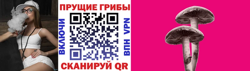Псилоцибиновые грибы ЛСД  продажа наркотиков  Чишмы 